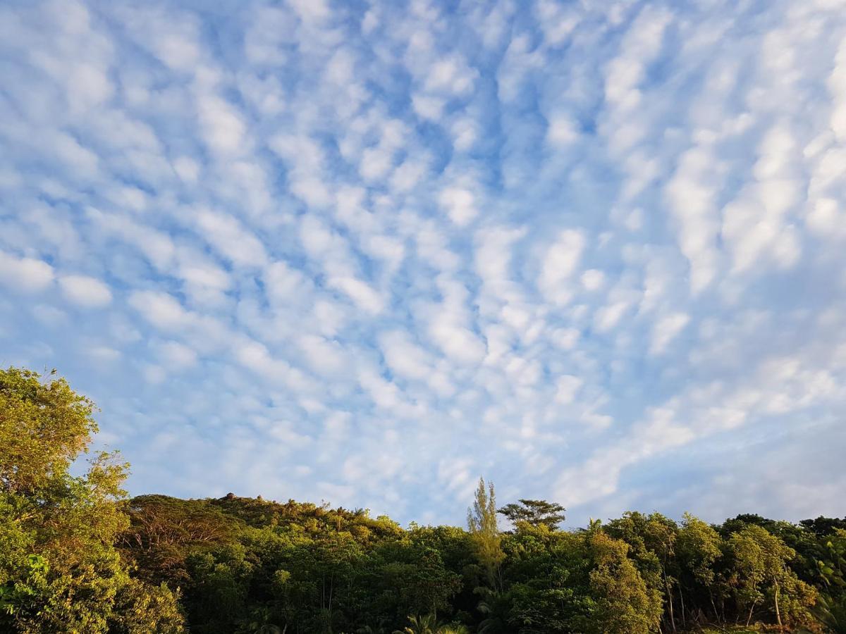 Bougainvillas Seychelles Anse Royale Exteriér fotografie